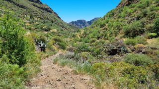 2023-04-GranCan-Guayadeque-088.jpg